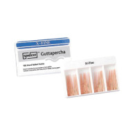 Accessory Cone (Regular type)