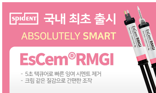 EsCem RMGI